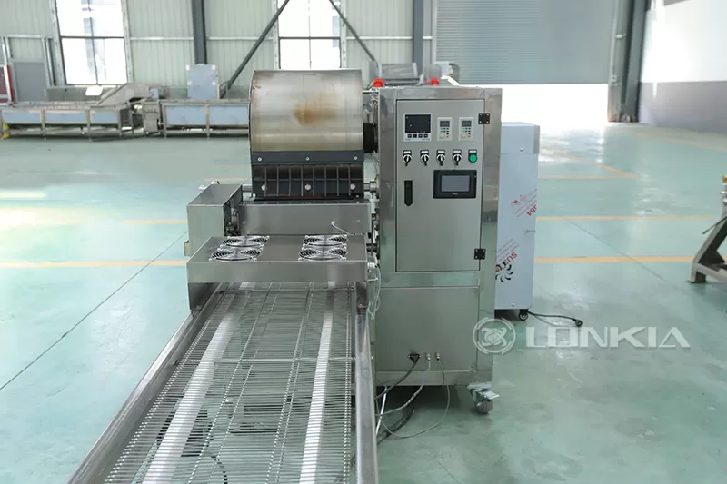 spring roll machine in plant