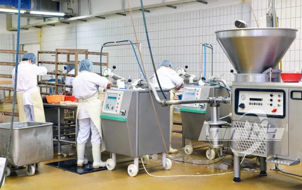 Automatic Sausage Processing Line vs Manual Operation: Cost and Efficiency