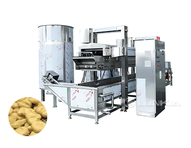 Continuous Frying Machine