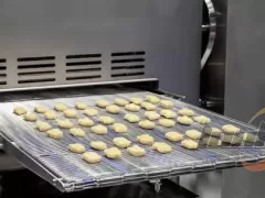 From Raw Meat to Ready-to-Fry: The Journey in a Chicken Nugget Processing Line