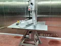 Meat Sawing Machine Common Problems and Solutions