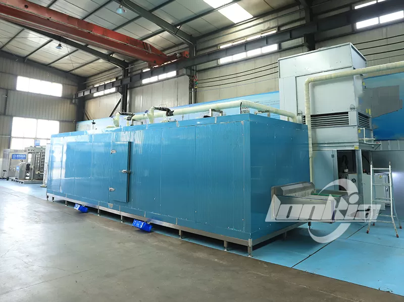 Quick Freeze Machine for Versatile Applications: Meat, Seafood, Vegetables & More