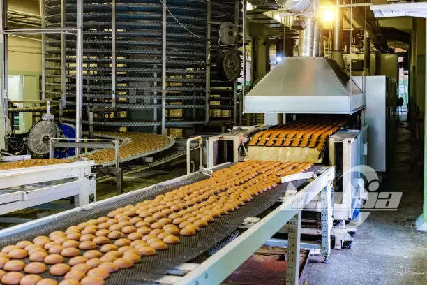 meatball processing